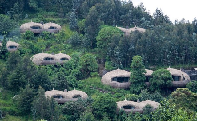 Best places to stay in volcanoes during Rwanda gorilla safari.jpg