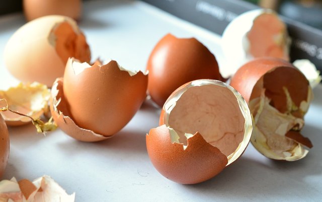 egg-shells-706502_1280.jpg