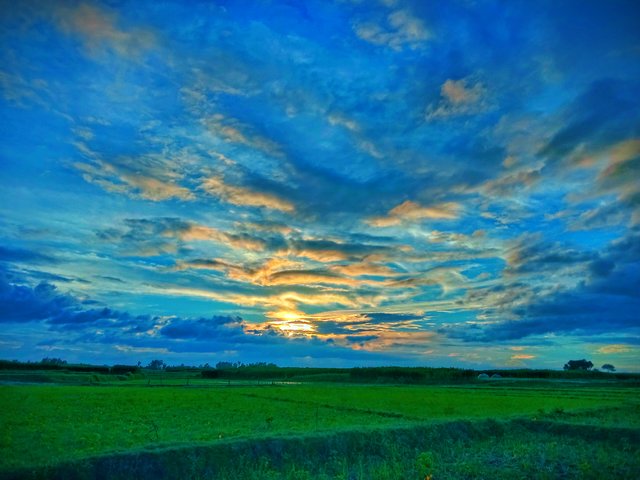 IMG_20250626_064224.jpg