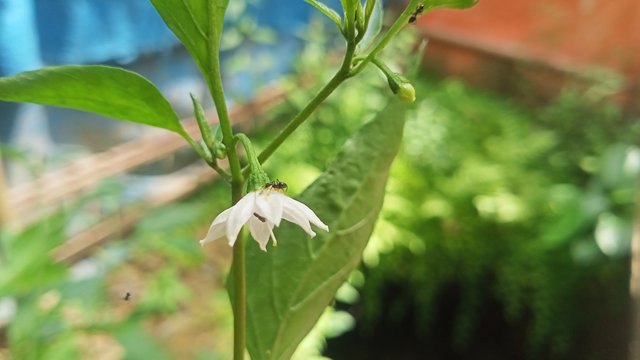 IMG20250430134929.jpg