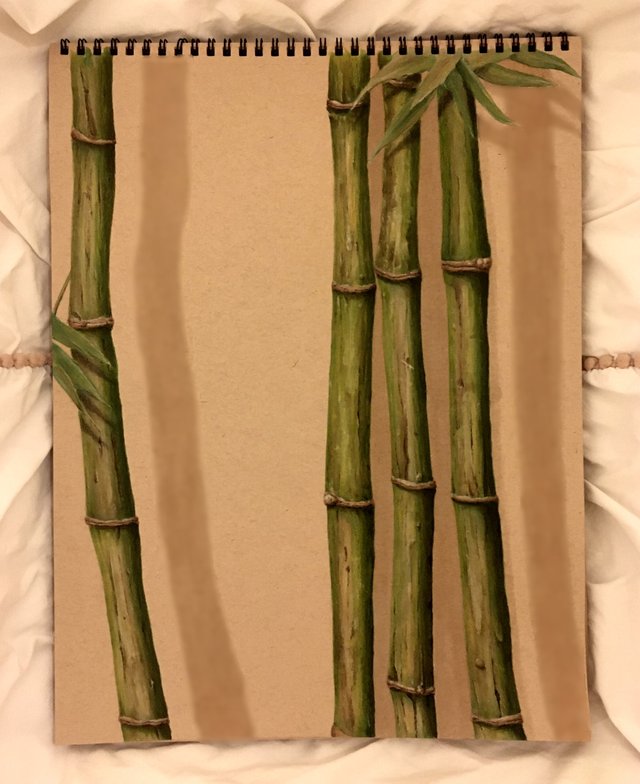 Bamboo.jpg