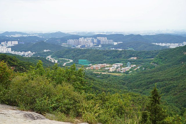 b-DSC02084.JPG