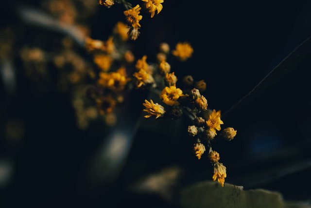C9F261C8-D225-453B-8699-B809AD51B9A0.jpeg