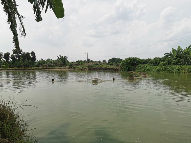 IMG_20240813_140332.jpg