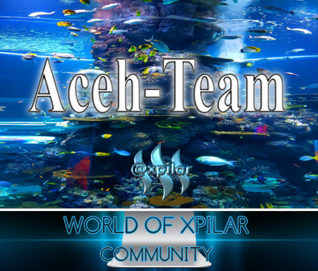 @aceh-team.png