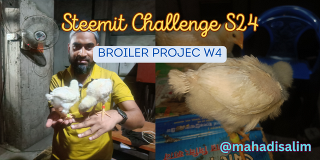 Steemit Challenge S24 w4.png