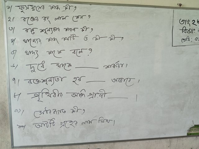 IMG_20250923_111744_561.jpg