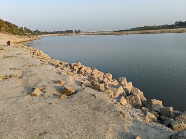 1000016201.jpg