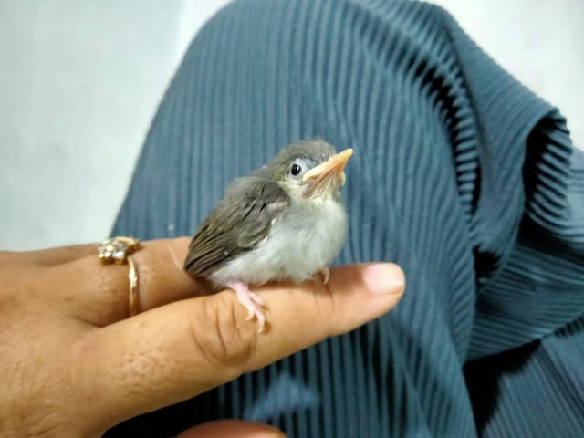 IMG20250722113323.jpg