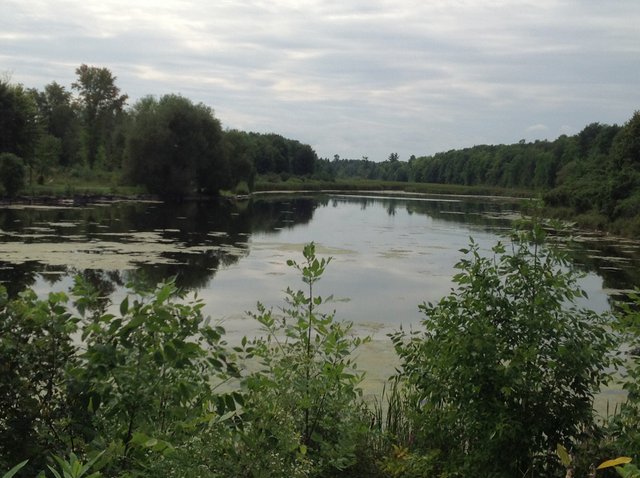 Beaver Pond 2.JPG