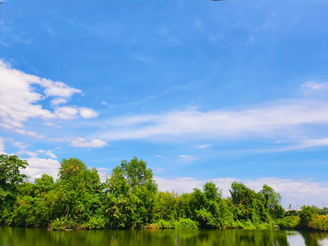 IMG_20250407_144656.jpg