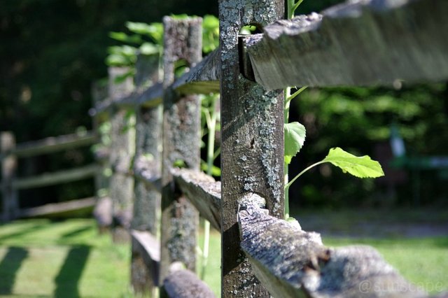 mundaneart photography country fence life sunscape.jpg