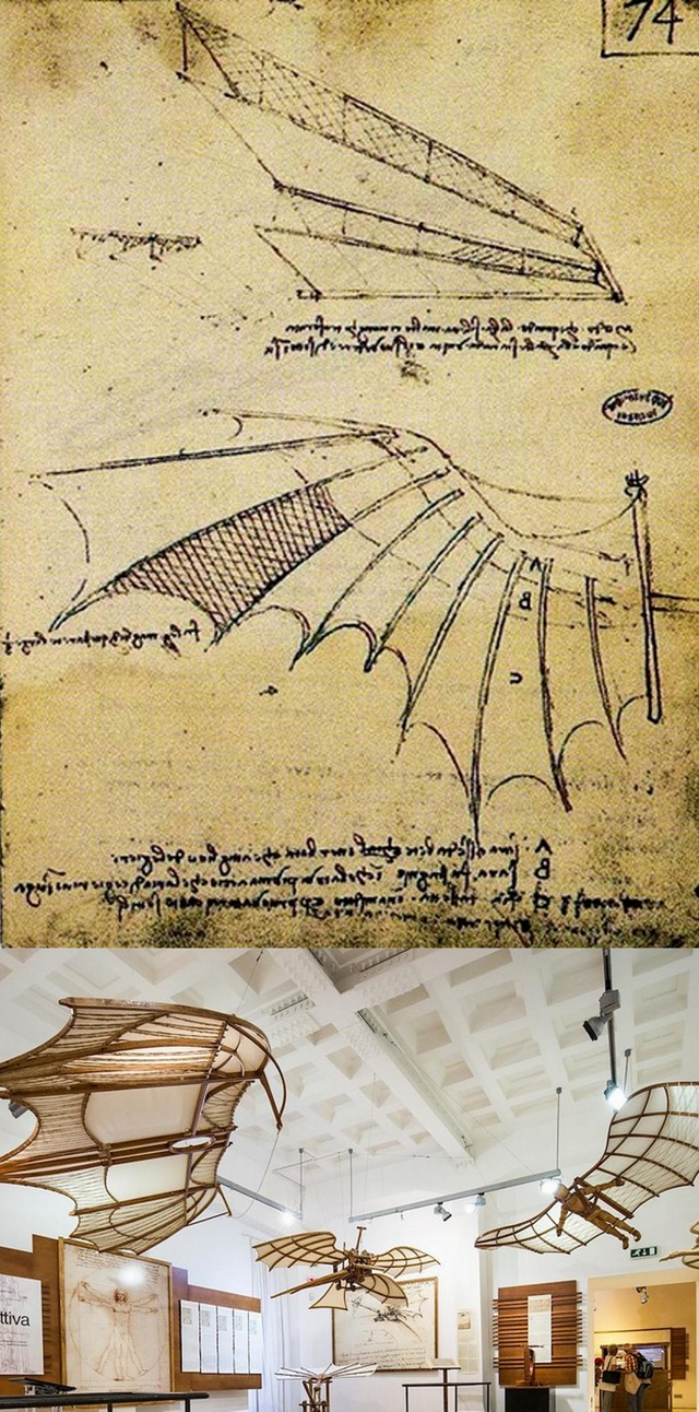 24.-Leonardo-da-Vinci-maquina-voladora-collage.png
