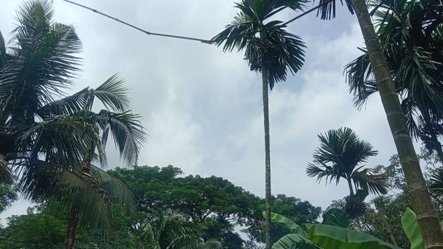 IMG_20250805_171126_277.jpg