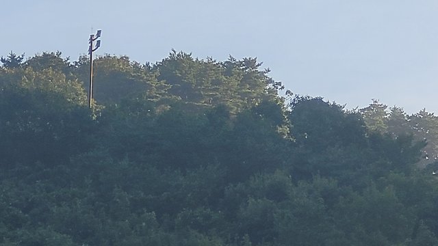 1000046392.jpg