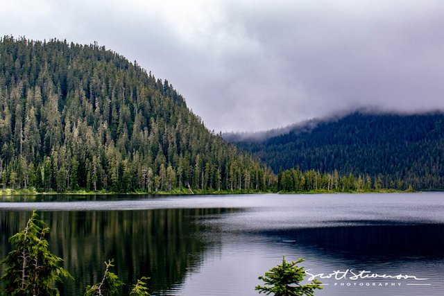 Strathcona Park-6.jpg