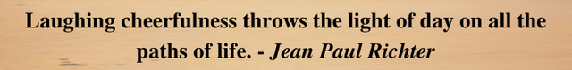 1a.png