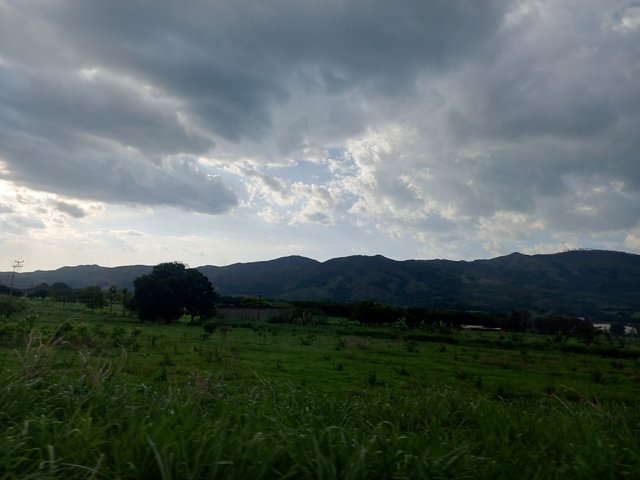 IMG_20250518_171041_092.jpg
