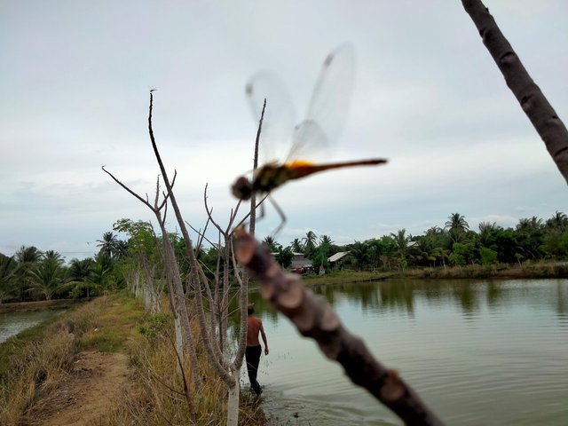 IMG_2839.jpeg