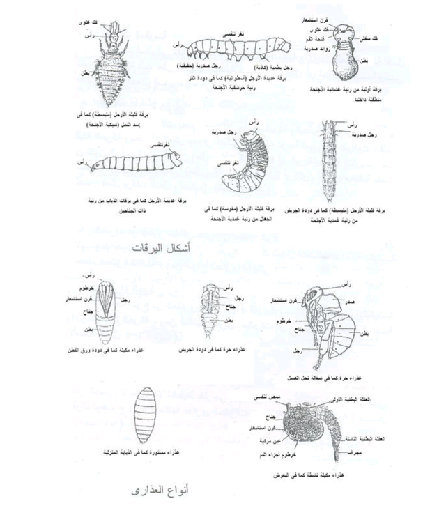 Screenshot_٢٠٢٢٠٤٠١-٢٣٣٠٥٥.png