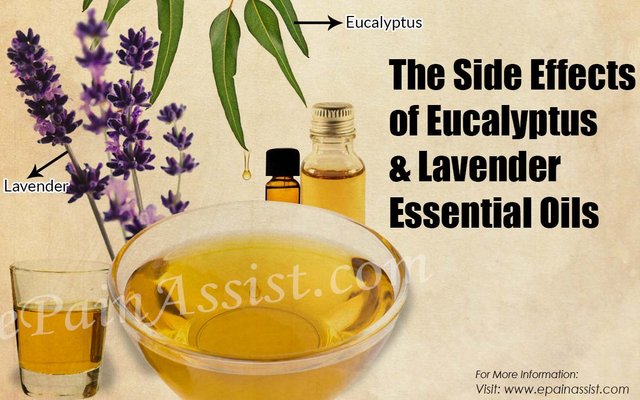 the-side-effects-of-eucalyptus-and-lavender-essential-oils.jpg