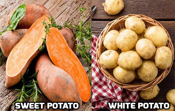 sweet-potatoes.png