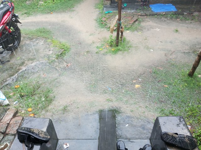 IMG_20250615_140442_696.jpg