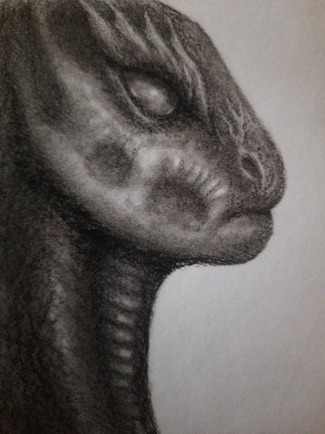 20250419_114122.jpg