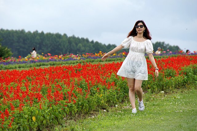 Japan-Hokkaido12802-973.jpg