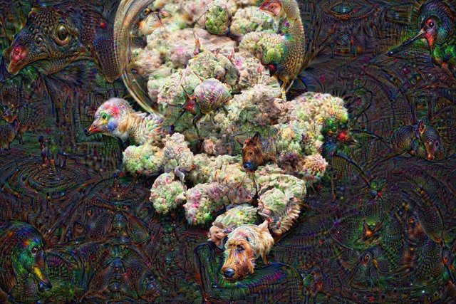 dreaming of Kush iteration 2.jpg