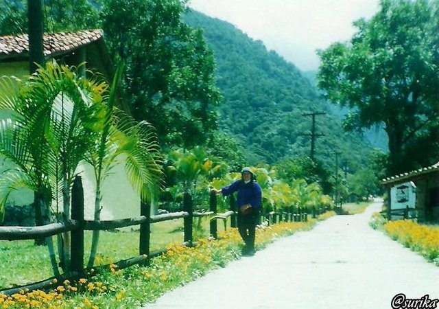 CAMINO CAMPESTR MERIDA.jpg