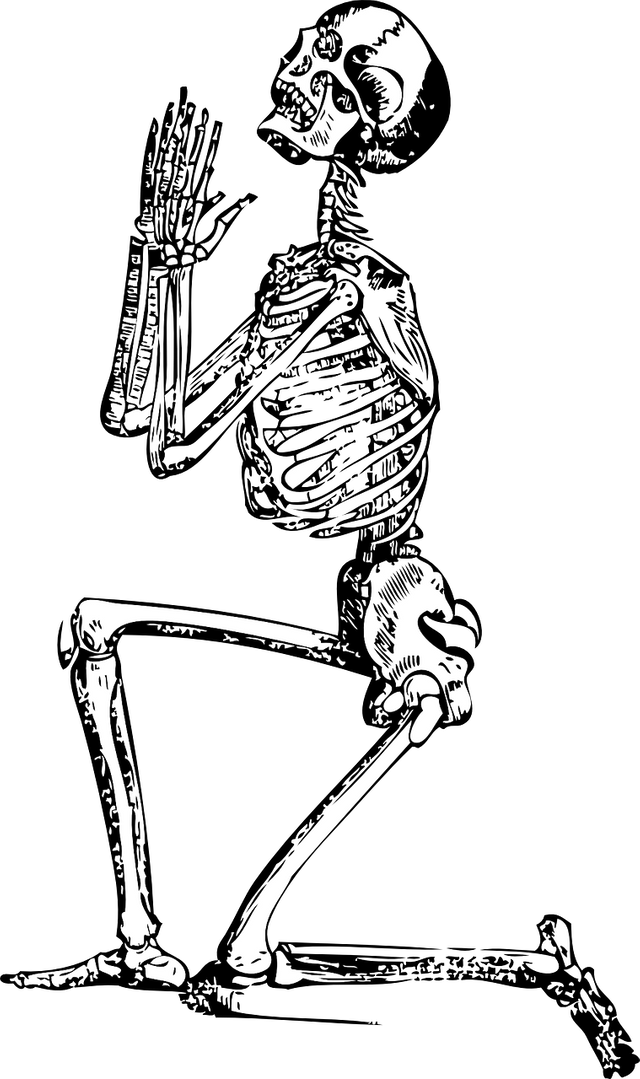 skeleton-33847_1280.png