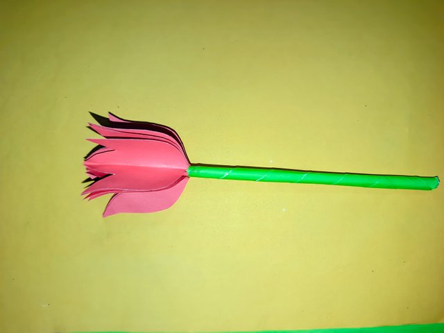 1000013841.jpg