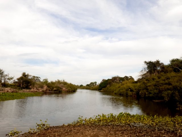 20250419_171708.jpg