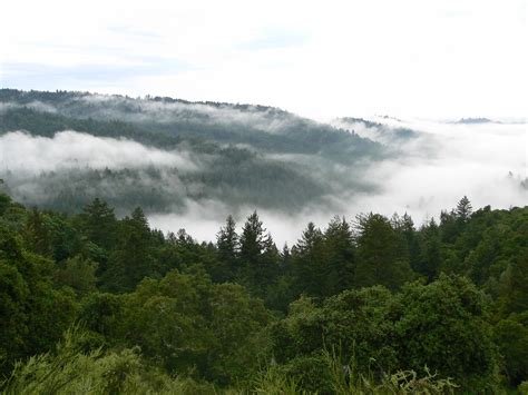 Santa Cruz mountain range.jpg