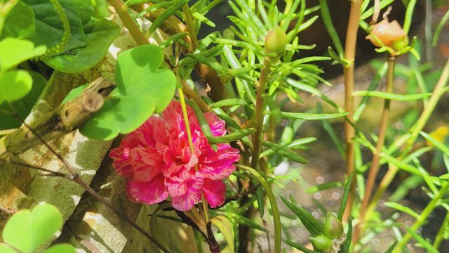 IMG-20250705-WA0005.jpg