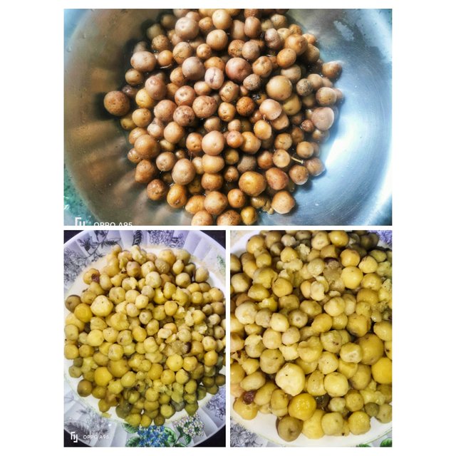 PhotoCollage_1747478031797.jpg