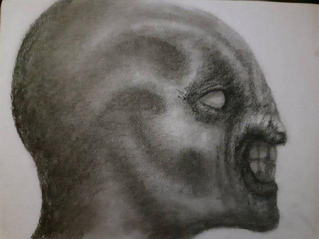 20250518_100235.jpg