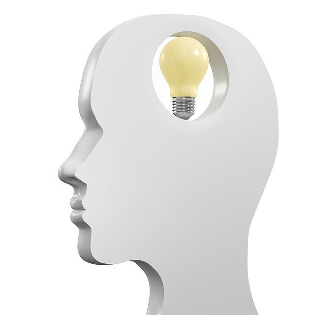 MaxPixel.net-Intelligence-Lightbulb-Light-Female-Head-2734282.jpg