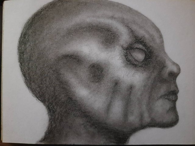 20250511_095623.jpg