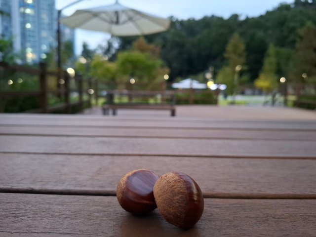 KakaoTalk_20250922_183659914.jpg