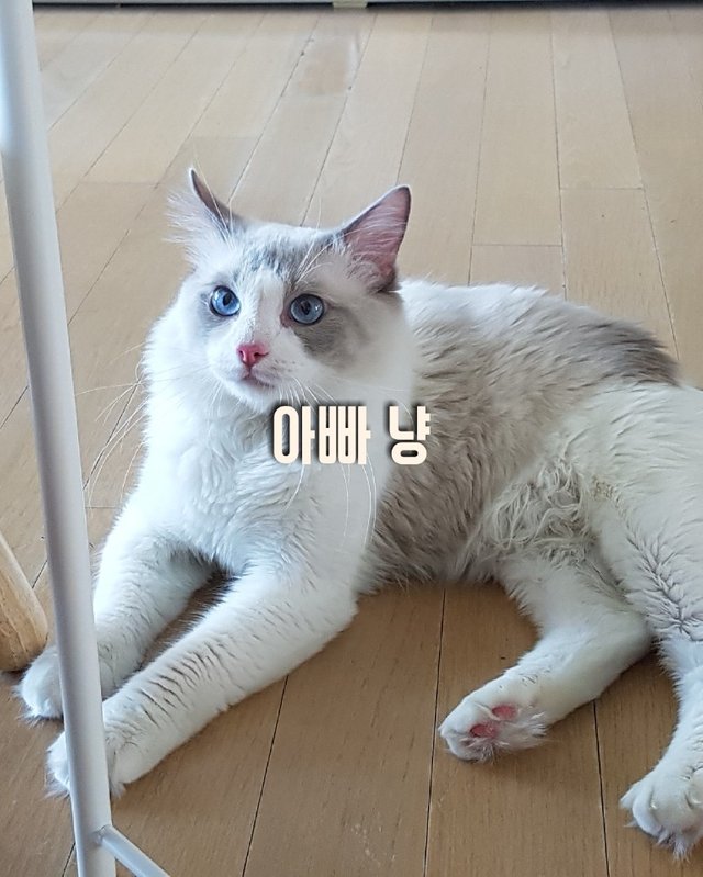 KakaoTalk_20180902_200103260.jpg