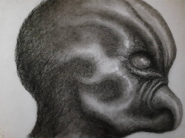 20250426_112229.jpg