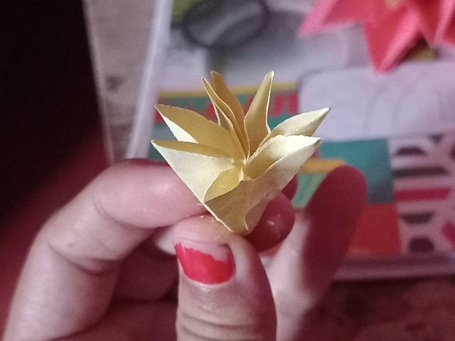 20250901_123831.jpg