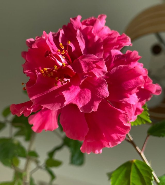 IMG_20250918_232959.jpg