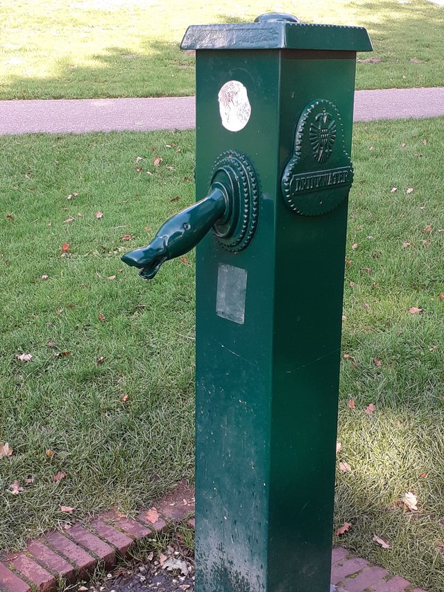 20250928_160519.jpg