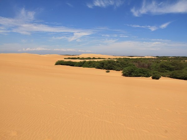 Parque-Nacional-Medanos-de-Coro1.jpg