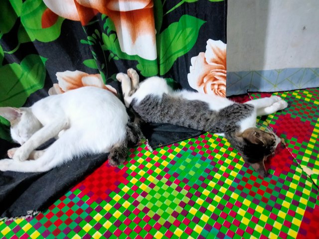 IMG20250731231043.jpg