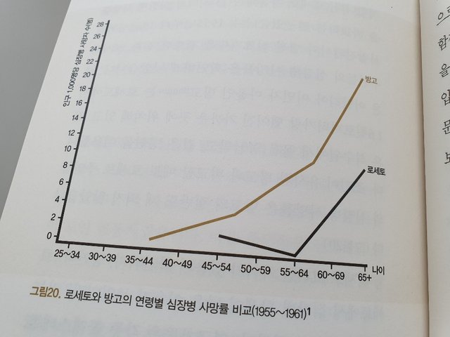 로제토 방고.jpg