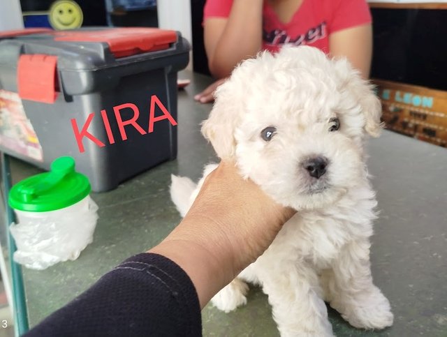kira2.jpg